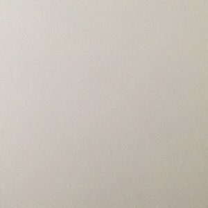 Meet your Posher, Aurelia